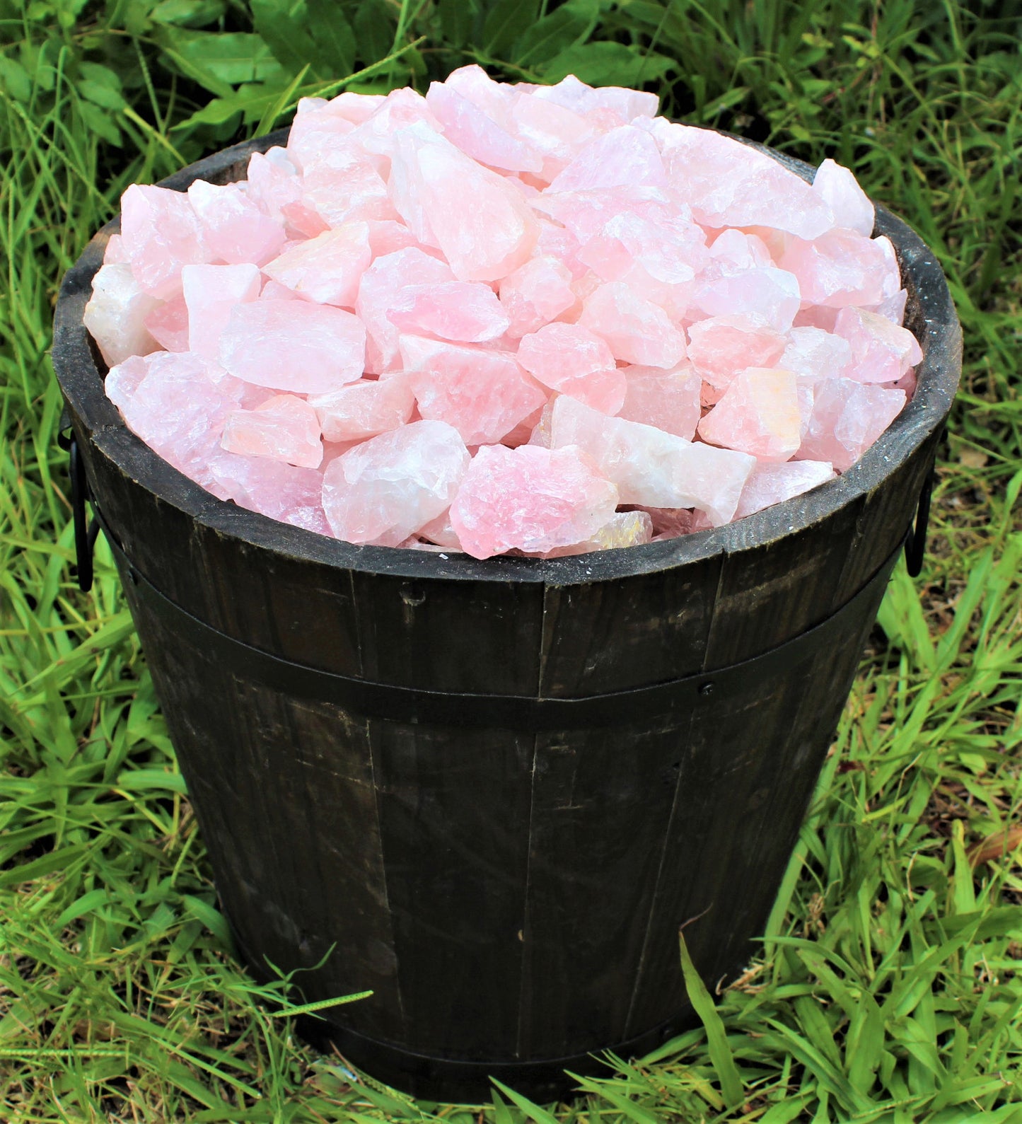 Single Large Rough Rose Quartz Crystal | 2"–3" Natural Raw Love Stone | Healing Specimen