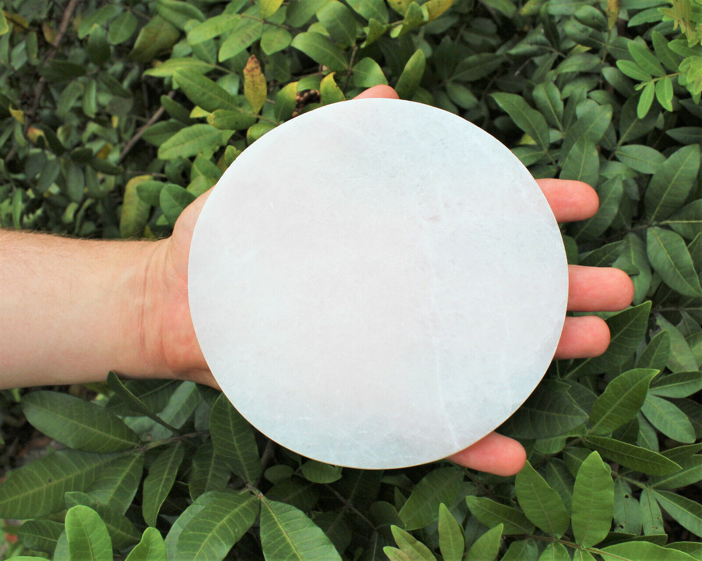 Selenite Charging Station – 6" Round Polished Plate | Large Crystal Charging