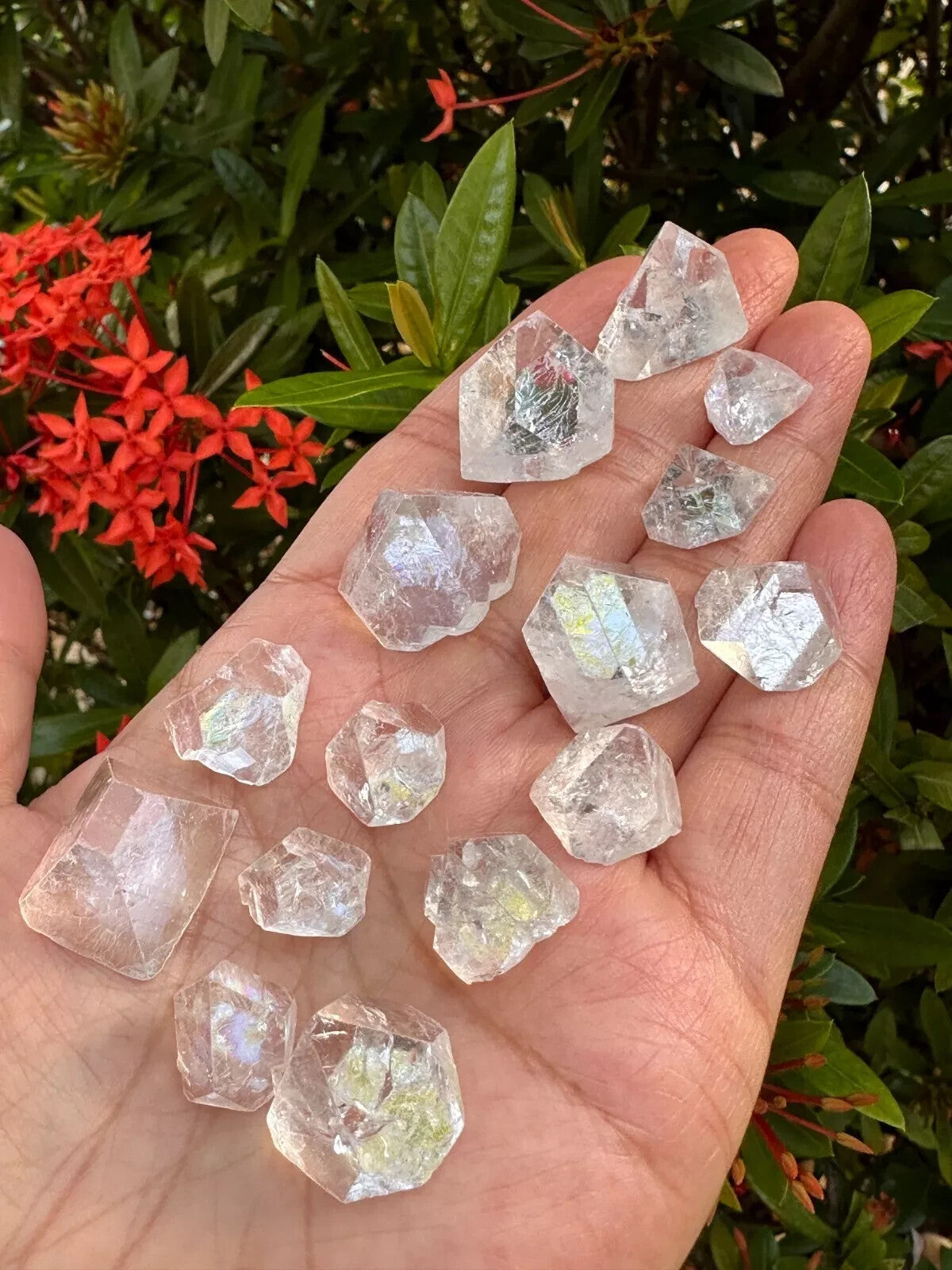 Wholesale Tips Apophyllite Points & Pyramids Wholesale Bulk Lots Pick a Weights