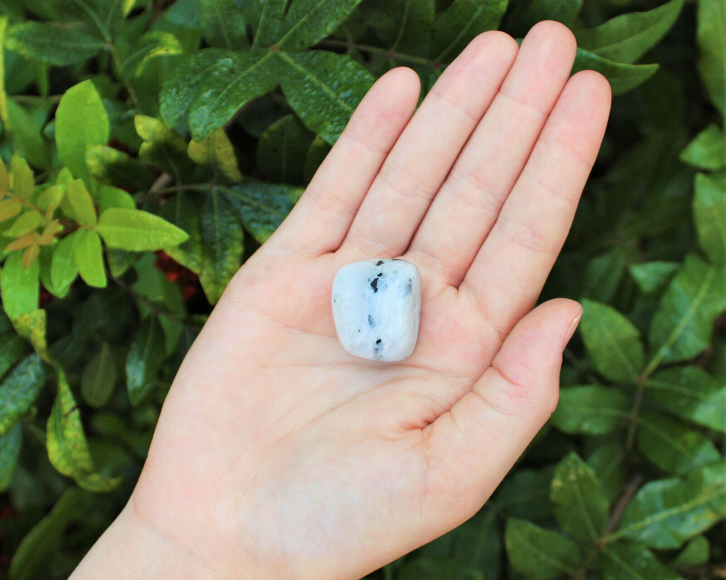 1 x Tumbled Stones : You Choose Type - Huge Range - ON SALE! (Crystal Healing)