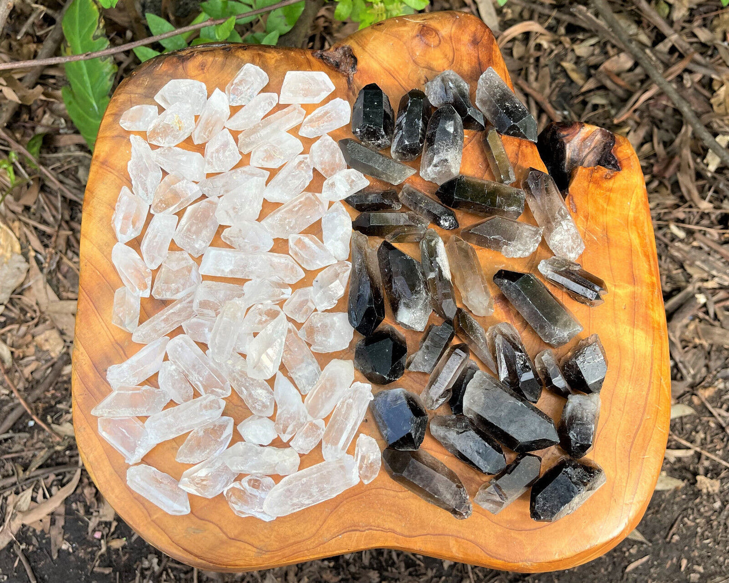 1/2 lb Bulk Smoky Quartz & Clear Quartz Crystal Collection Box (Natural Points)