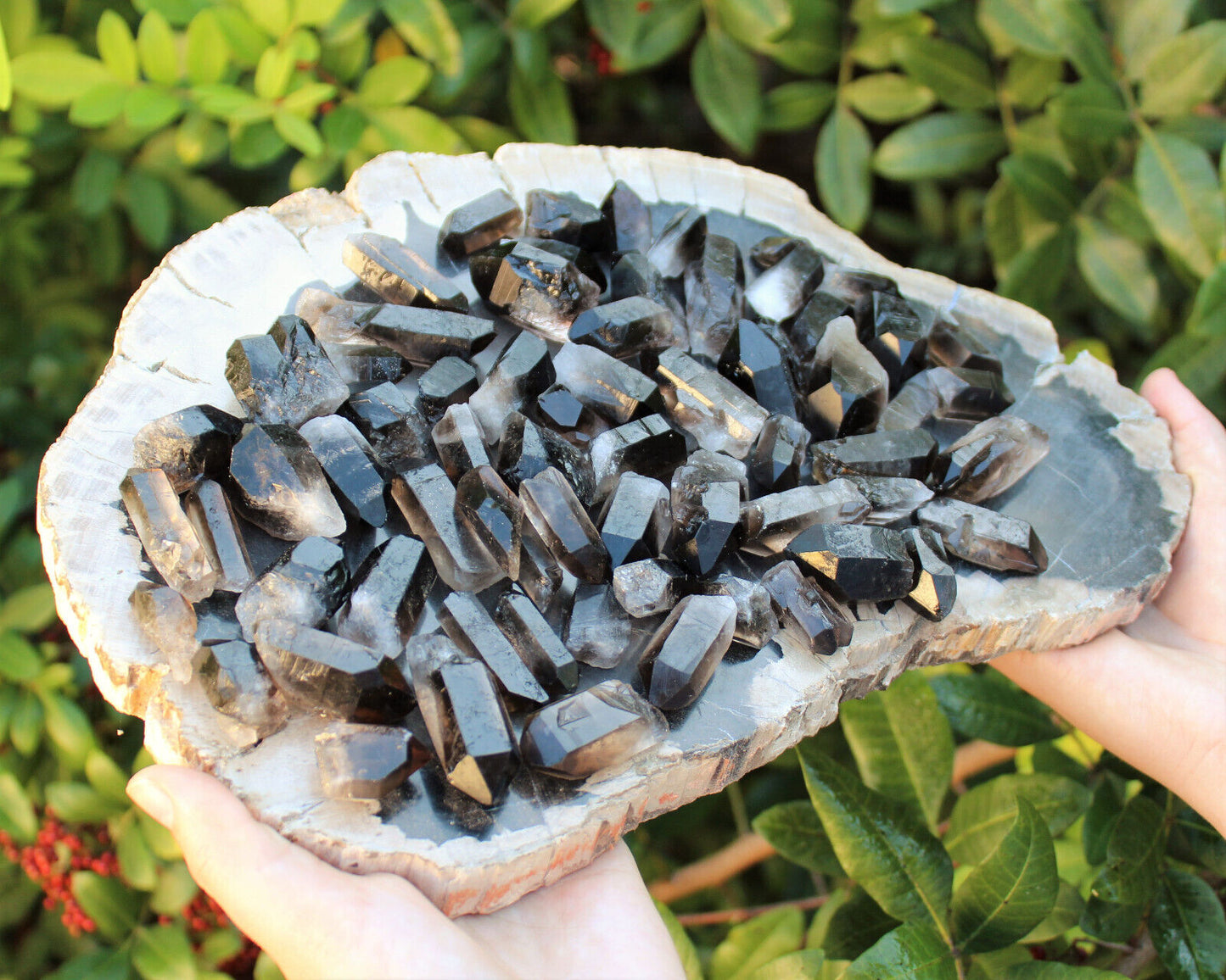 1/4 lb Bulk Lot Mixed Smokey & Quartz Crystal Natural Clear Points Smoky