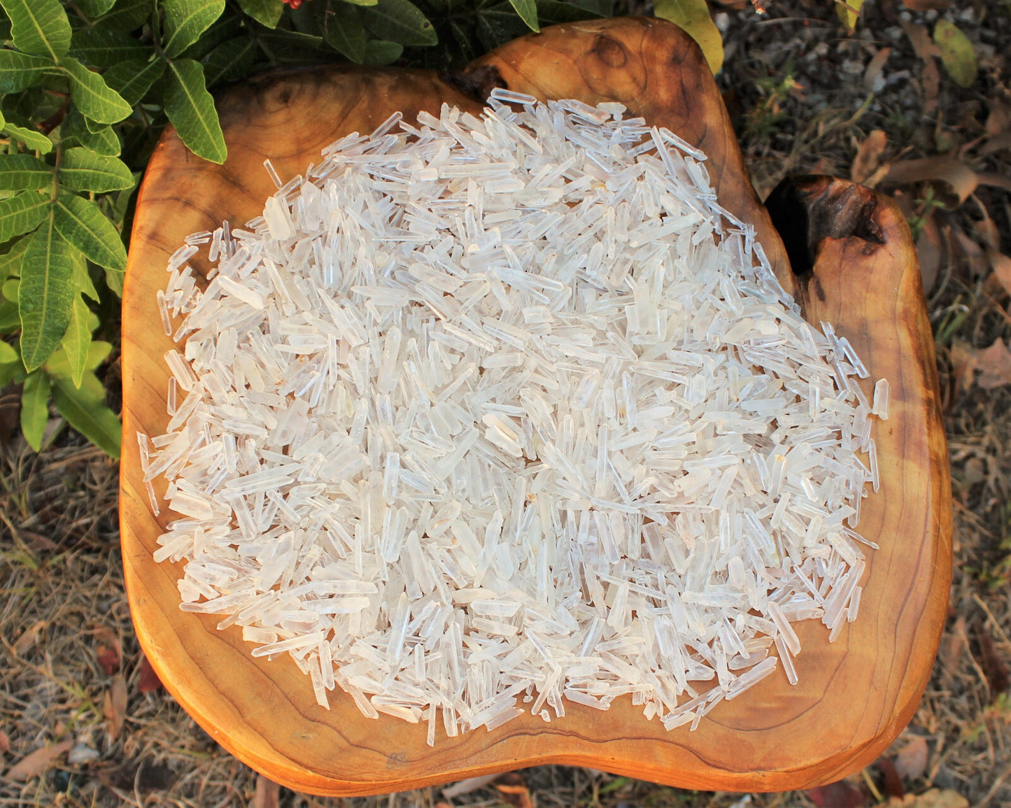 Tiny Natural Matchstick / Jewelry Quartz Crystal Points 1/2 lb (8 oz) Box Lot