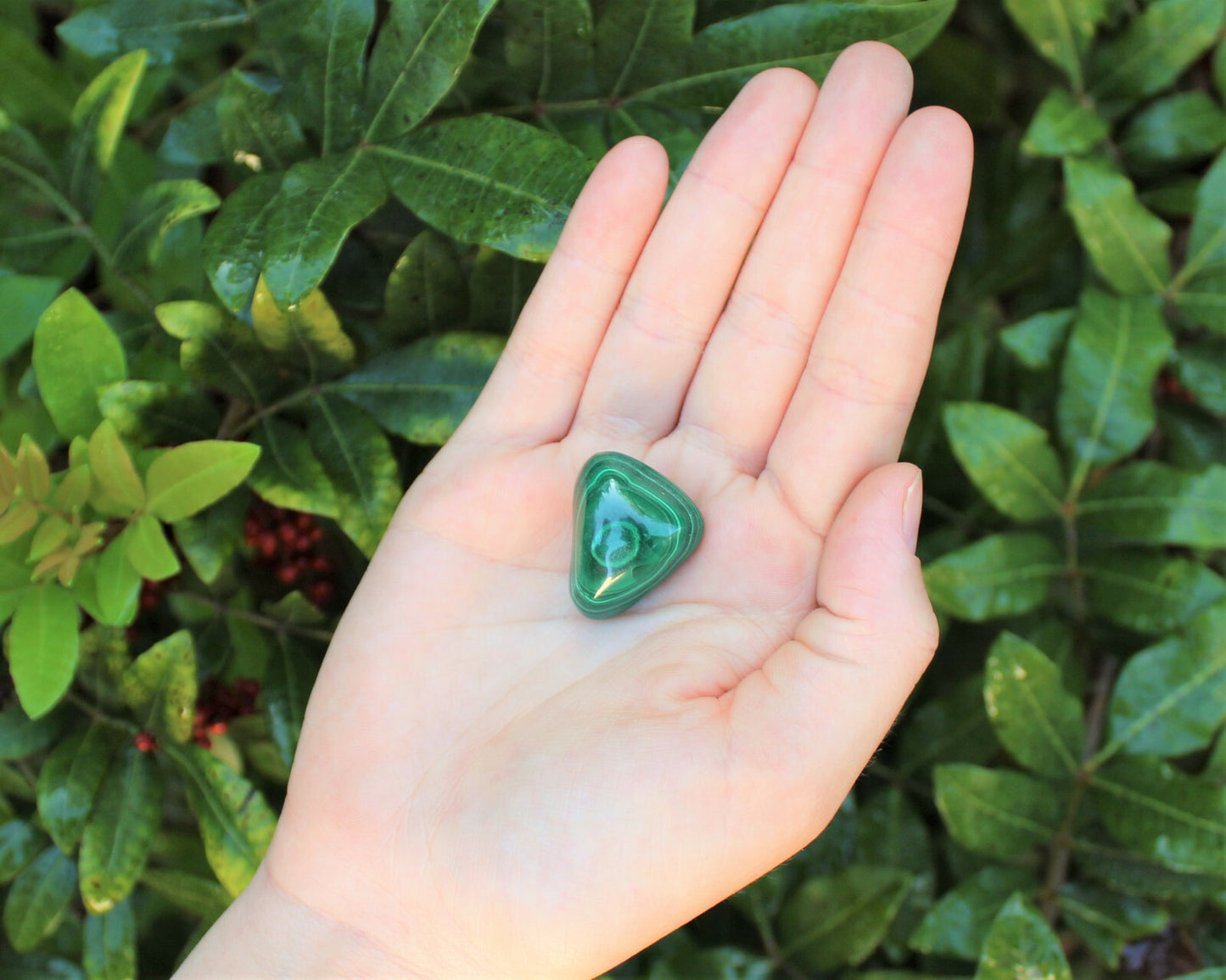 1 x Tumbled Stones : You Choose Type - Huge Range - ON SALE! (Crystal Healing)