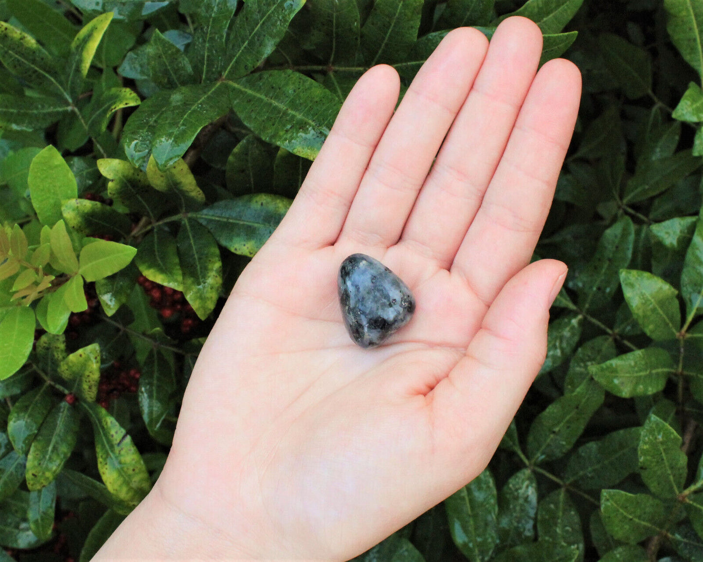 1 x Tumbled Stones : You Choose Type - Huge Range - ON SALE! (Crystal Healing)