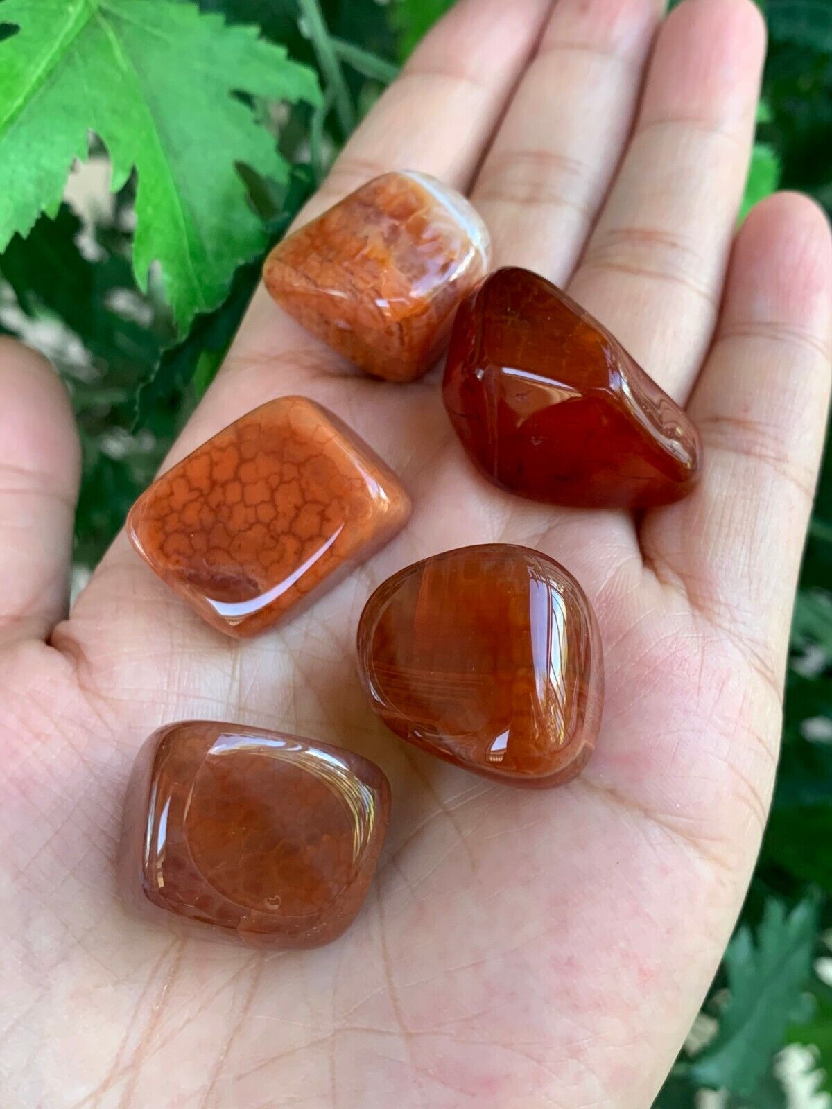 1/2 Lb Lot Tumbled Stones, 0.75-1.25" Crystal Healing Stones, Choose Stone Type