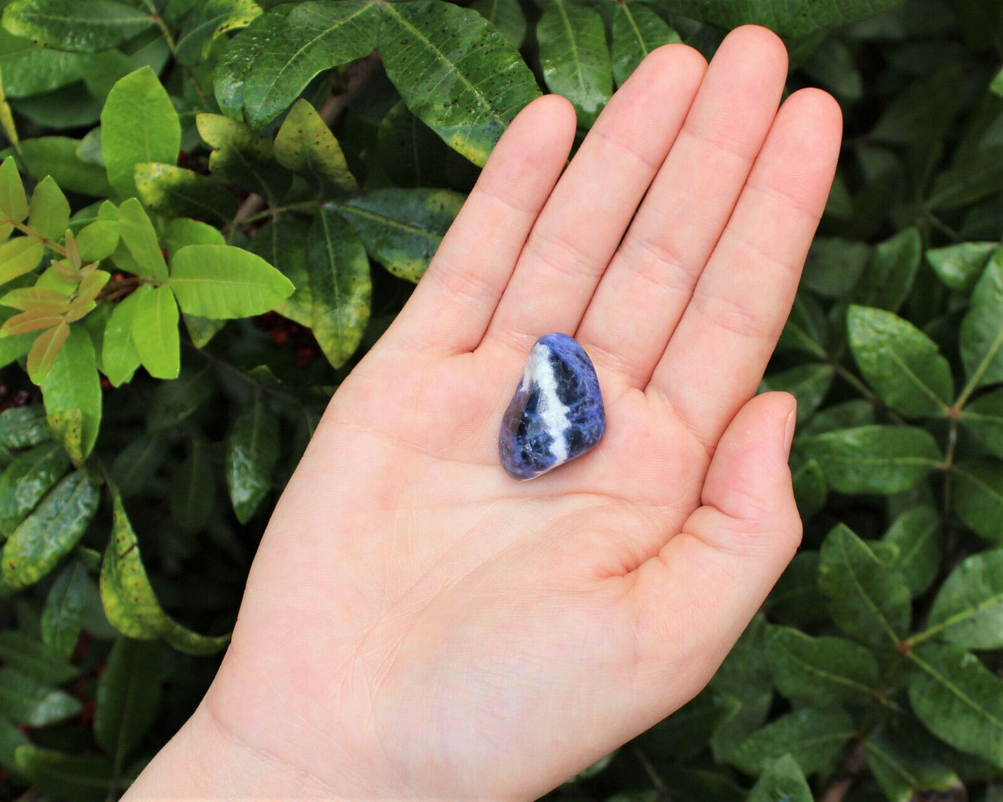 1 x Tumbled Stones : You Choose Type - Huge Range - ON SALE! (Crystal Healing)