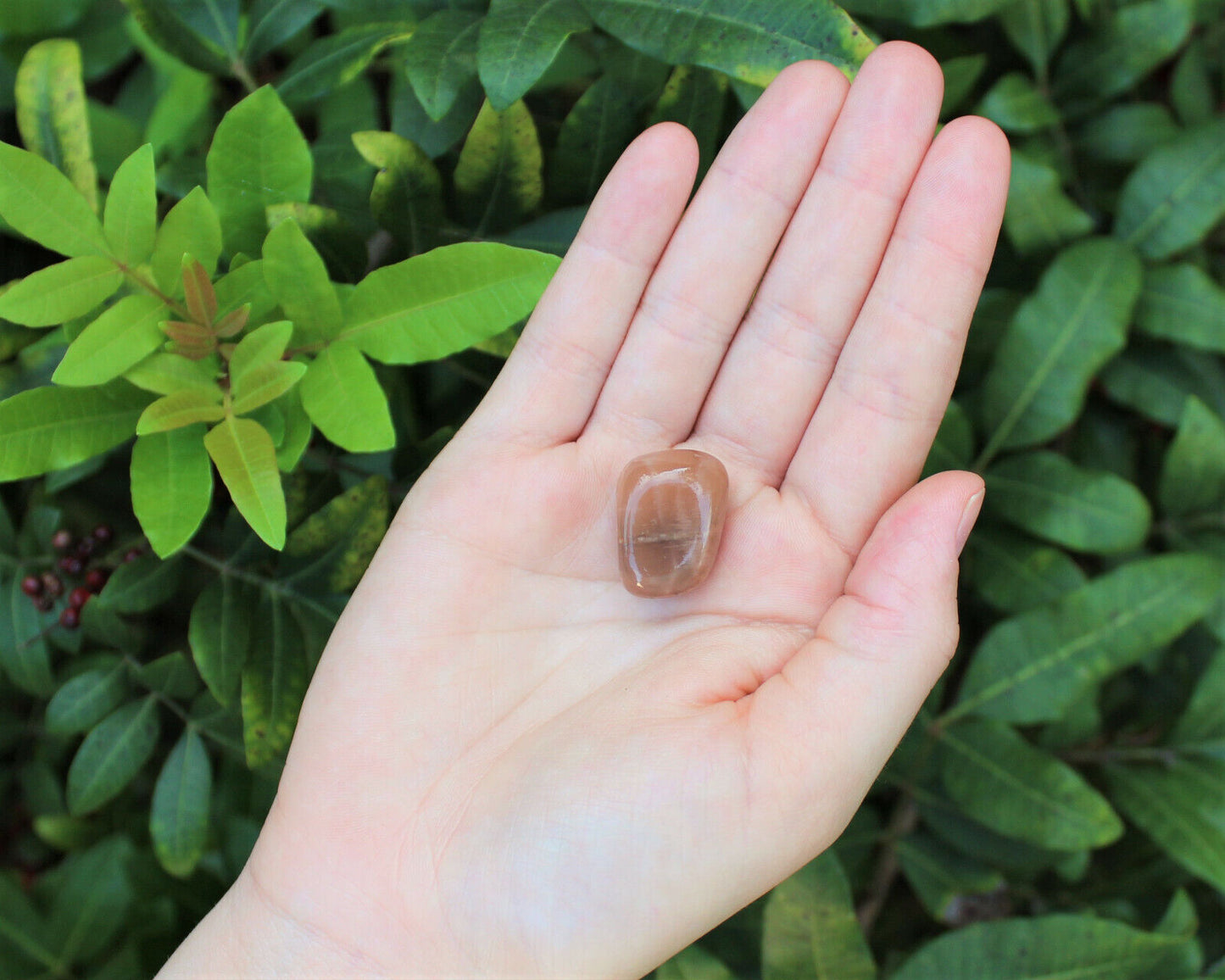 1 x Tumbled Stones : You Choose Type - Huge Range - ON SALE! (Crystal Healing)