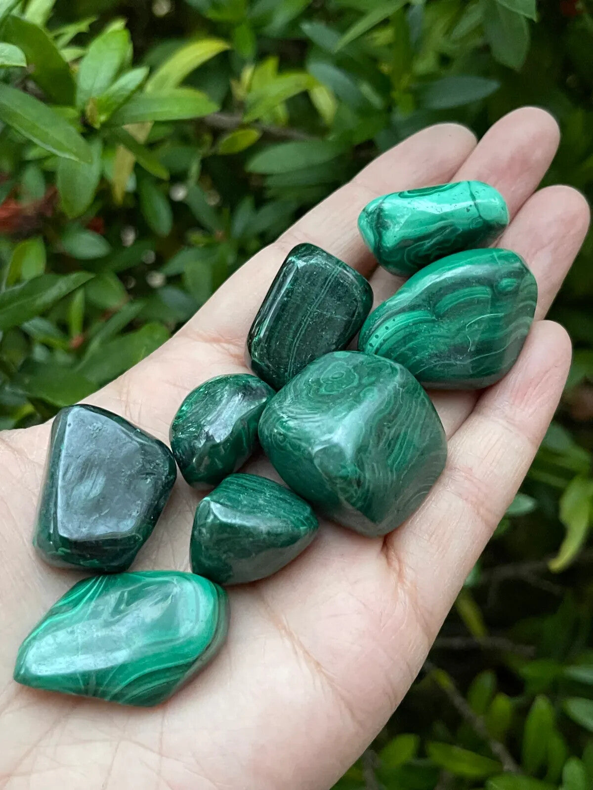 1/2 Lb Lot Tumbled Stones, 0.75-1.25" Crystal Healing Stones, Choose Stone Type