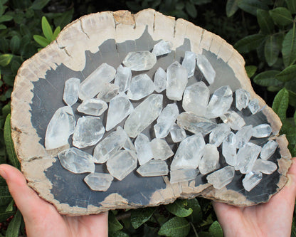 1/2 lb Bulk Amethyst & Quartz Crystal Collection in Box, Natural Clear Points