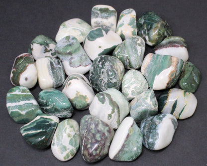 8 oz or 1 lb Tumbled Stones Bulk Lots: Huge Choice (Crystal Healing, Bulk Lots)