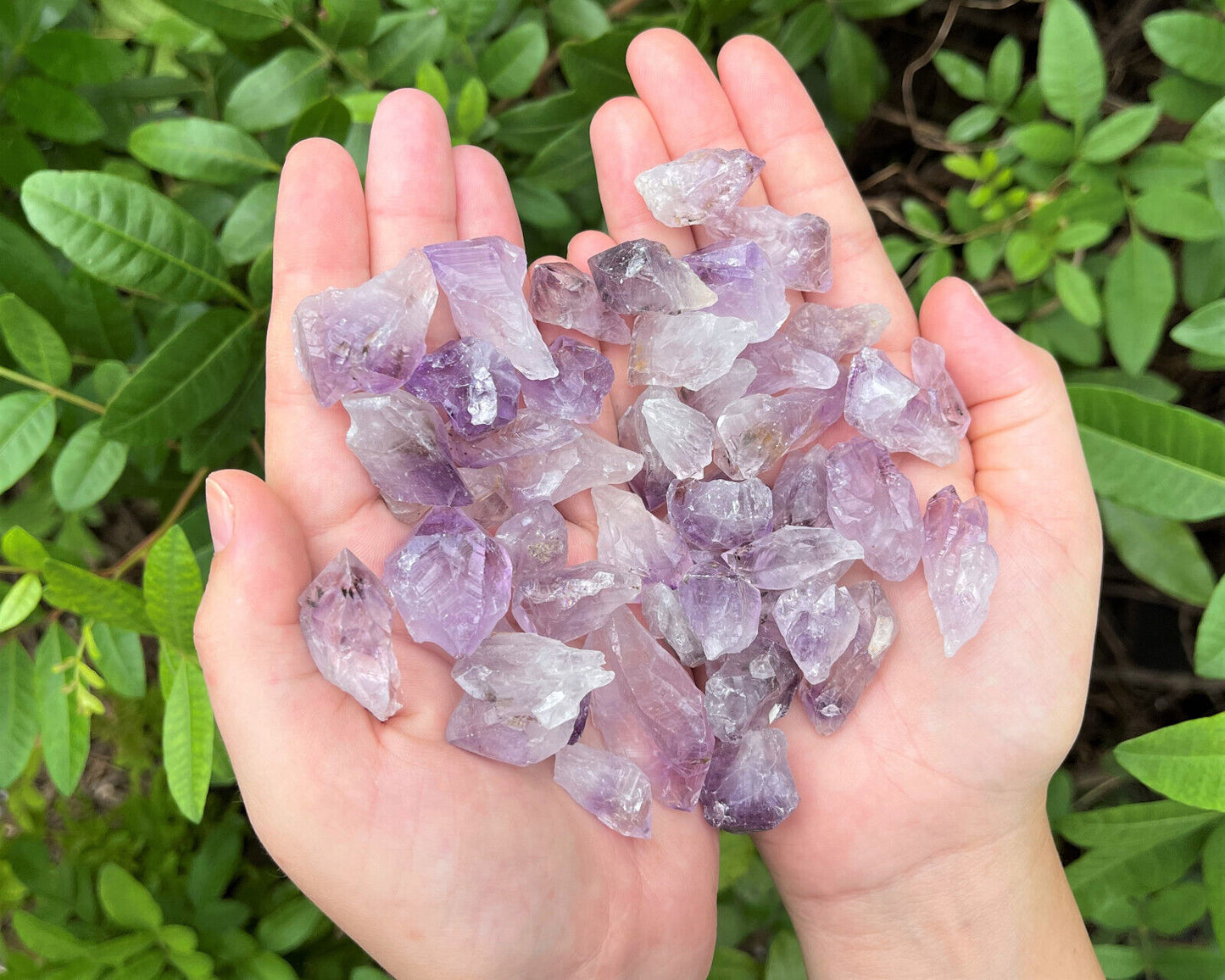 1/2 lb Bulk Amethyst & Quartz Crystal Collection in Box, Natural Clear Points