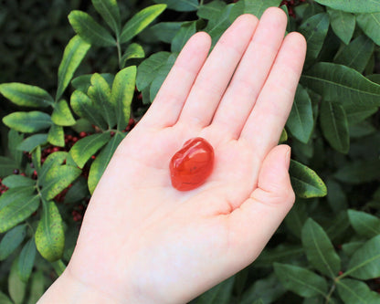 1 x Tumbled Stones : You Choose Type - Huge Range - ON SALE! (Crystal Healing)