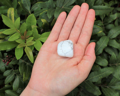 1 x Tumbled Stones : You Choose Type - Huge Range - ON SALE! (Crystal Healing)