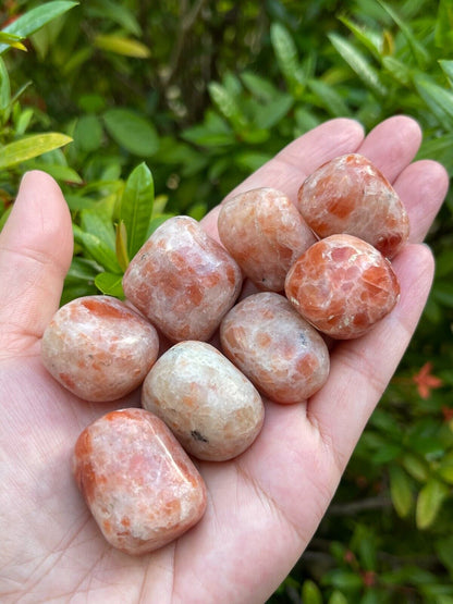 1/2 Lb Lot Tumbled Stones, 0.75-1.25" Crystal Healing Stones, Choose Stone Type