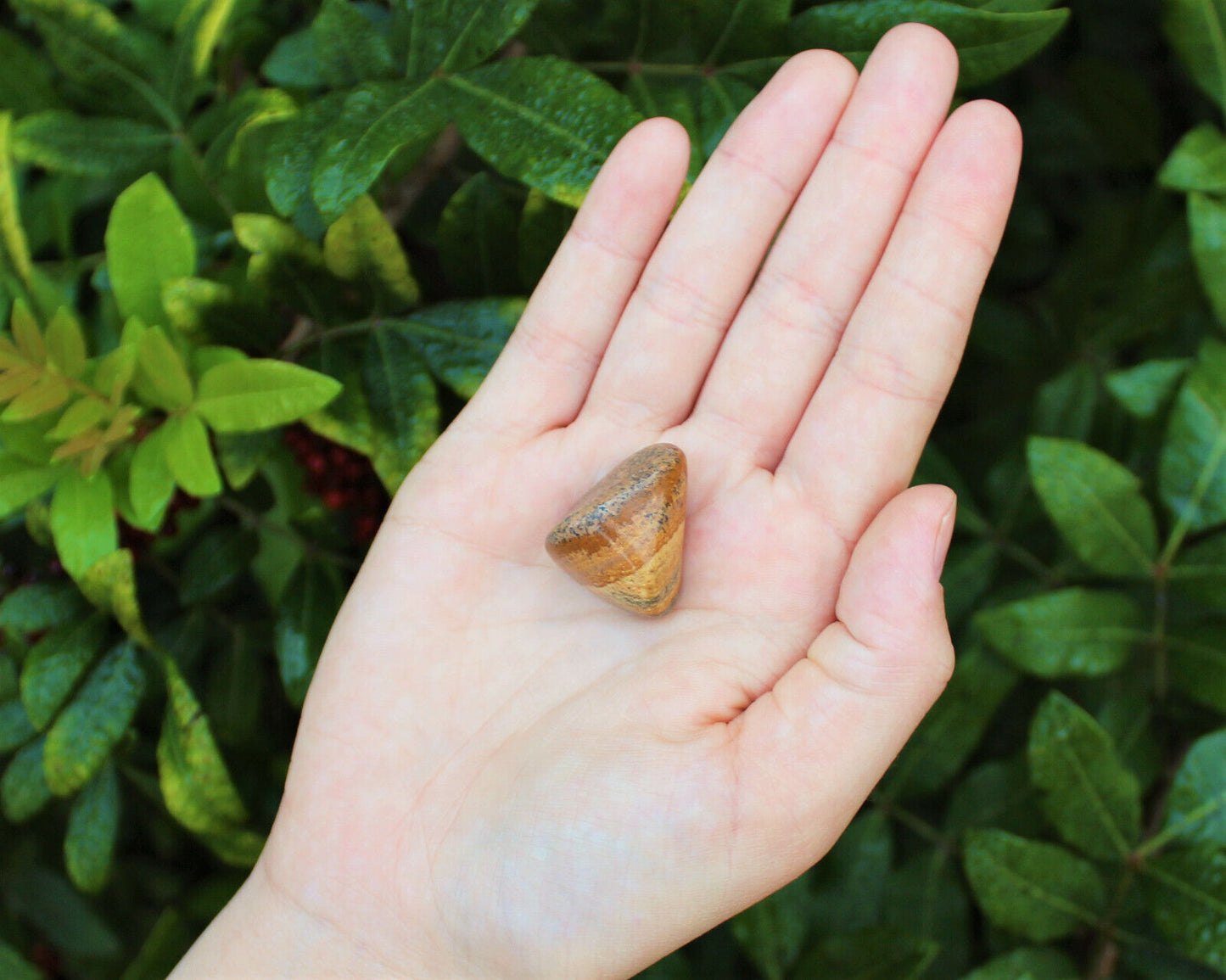 1 x Tumbled Stones : You Choose Type - Huge Range - ON SALE! (Crystal Healing)
