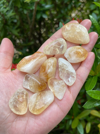 1/2 Lb Lot Tumbled Stones, 0.75-1.25" Crystal Healing Stones, Choose Stone Type