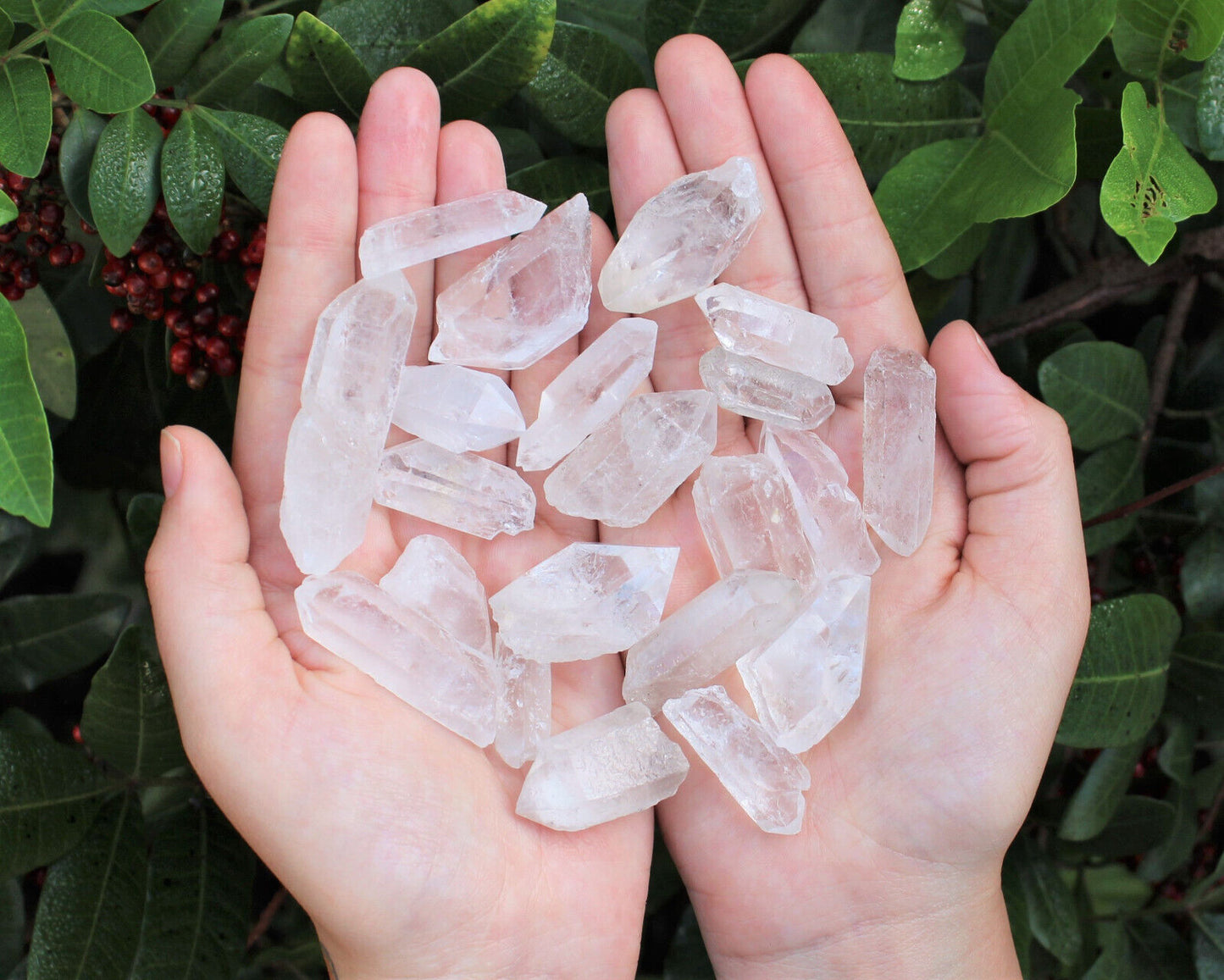 1/2 lb Bulk Amethyst & Quartz Crystal Collection in Box, Natural Clear Points