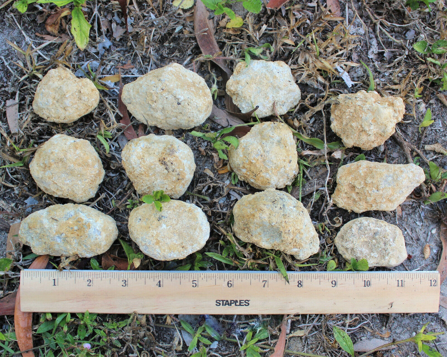 Break Your Own Geodes | Large Unopened Indian Geodes | Bulk Lot by Pound