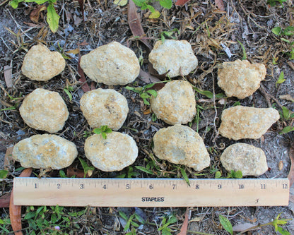 Break Your Own Geodes | Large Unopened Indian Geodes | Bulk Lot by Pound