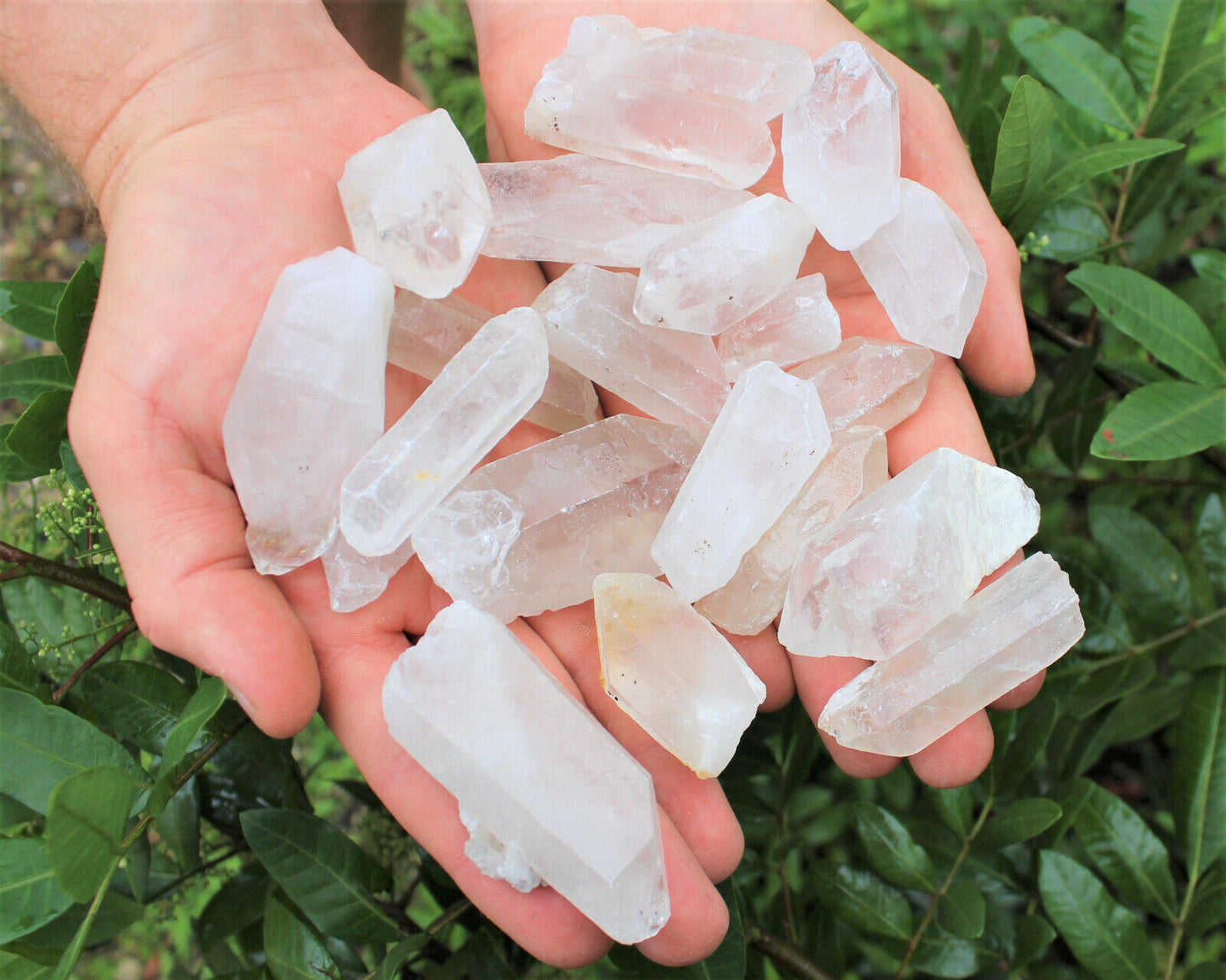 Wholesale CLEARANCE Bulk Lot 1/4 lb (4 oz) Rough Natural Quartz Crystal Points