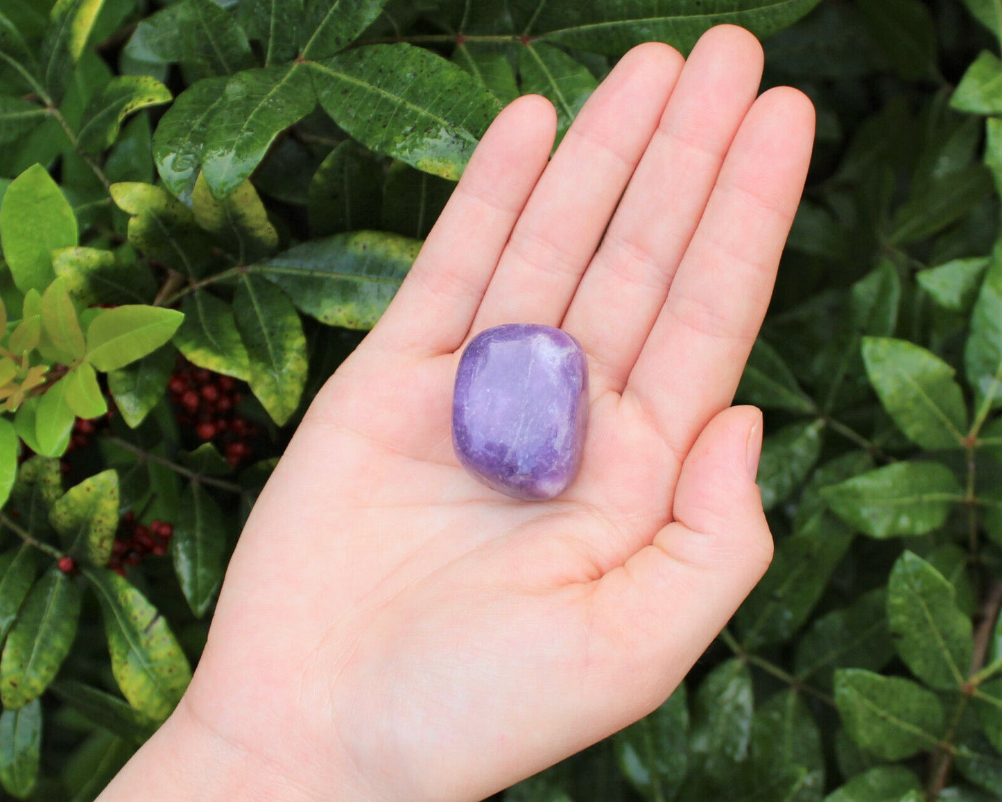 1 x Tumbled Stones : You Choose Type - Huge Range - ON SALE! (Crystal Healing)