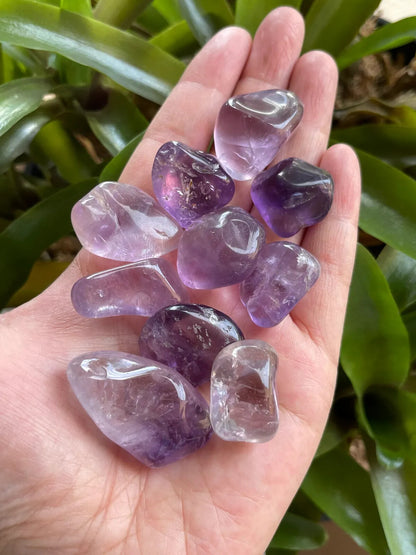 1/2 Lb Lot Tumbled Stones, 0.75-1.25" Crystal Healing Stones, Choose Stone Type