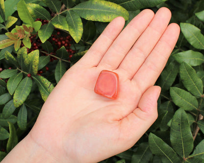 1 x Tumbled Stones : You Choose Type - Huge Range - ON SALE! (Crystal Healing)
