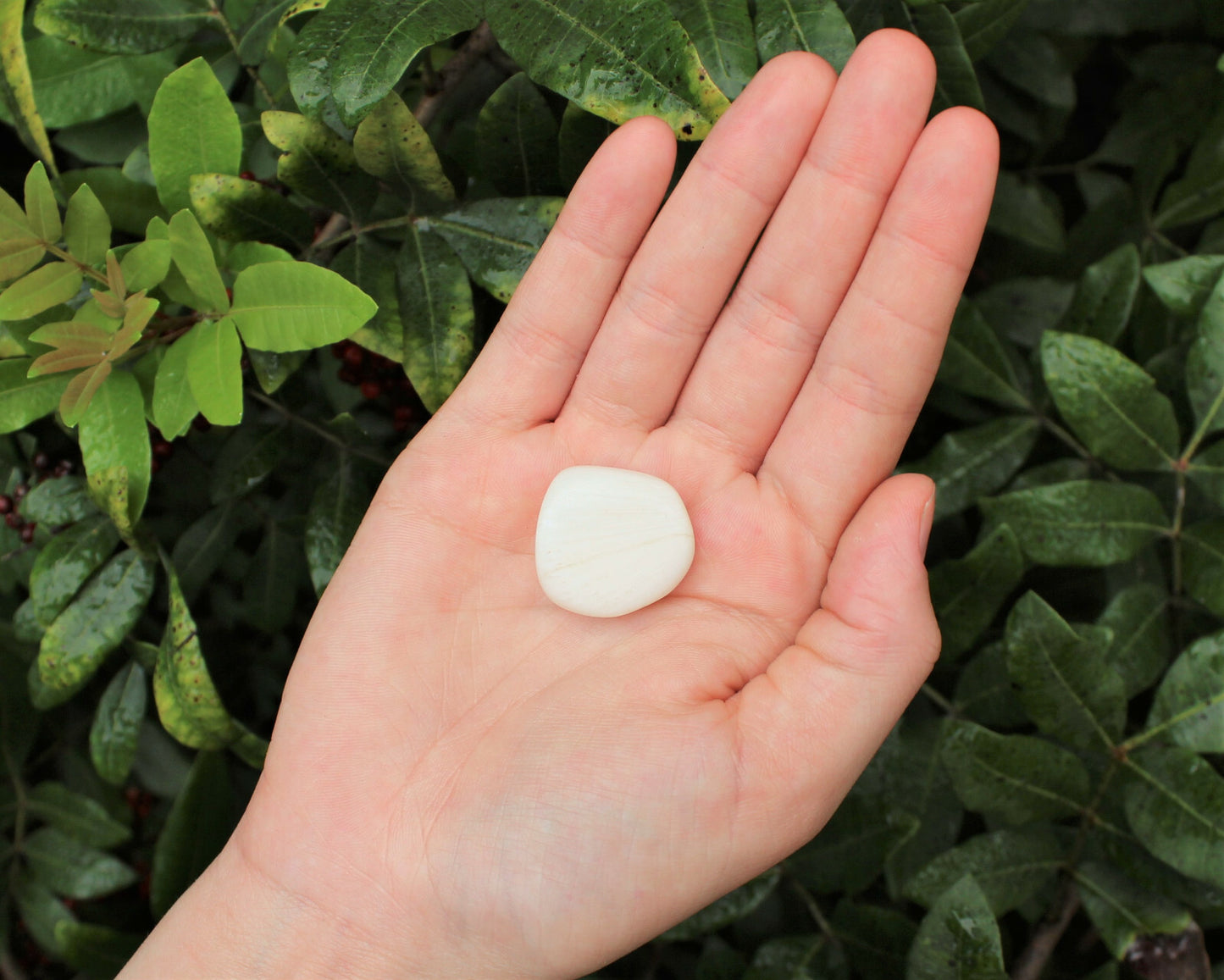 1 x Tumbled Stones : You Choose Type - Huge Range - ON SALE! (Crystal Healing)