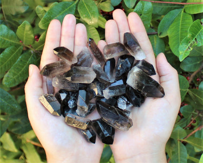 1/2 lb Bulk Smoky Quartz & Clear Quartz Crystal Collection Box (Natural Points)