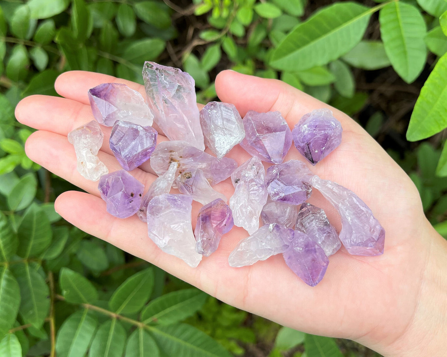 1/2 lb Bulk Amethyst & Quartz Crystal Collection in Box, Natural Clear Points