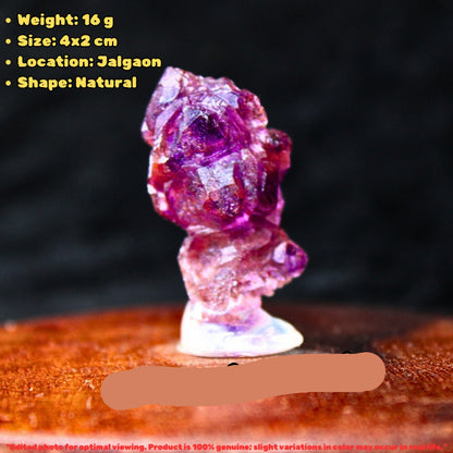 Rare Dark Purple Amethyst Crystal 16g – High-Grade Mini Collector Specimen