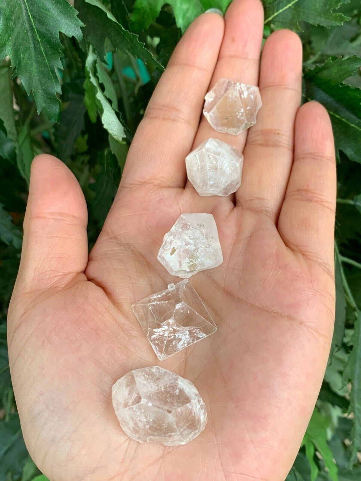5 Pcs Small Apophyllite Tips, Apophyllite Point, Apophyllite Pyramid, Raw Stones