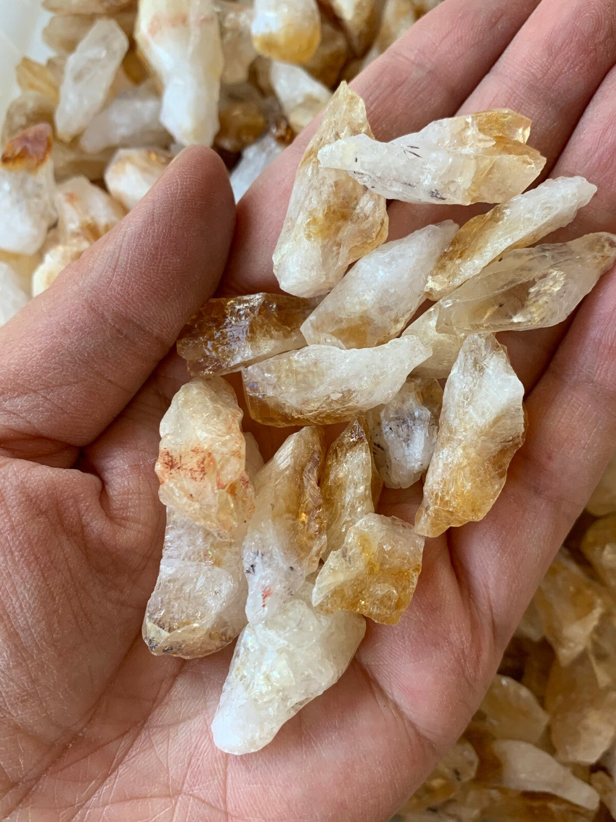 Amethyst Citrine Crystal Points and Chunks Collection,1/2 Lb Amethyst & Citrine