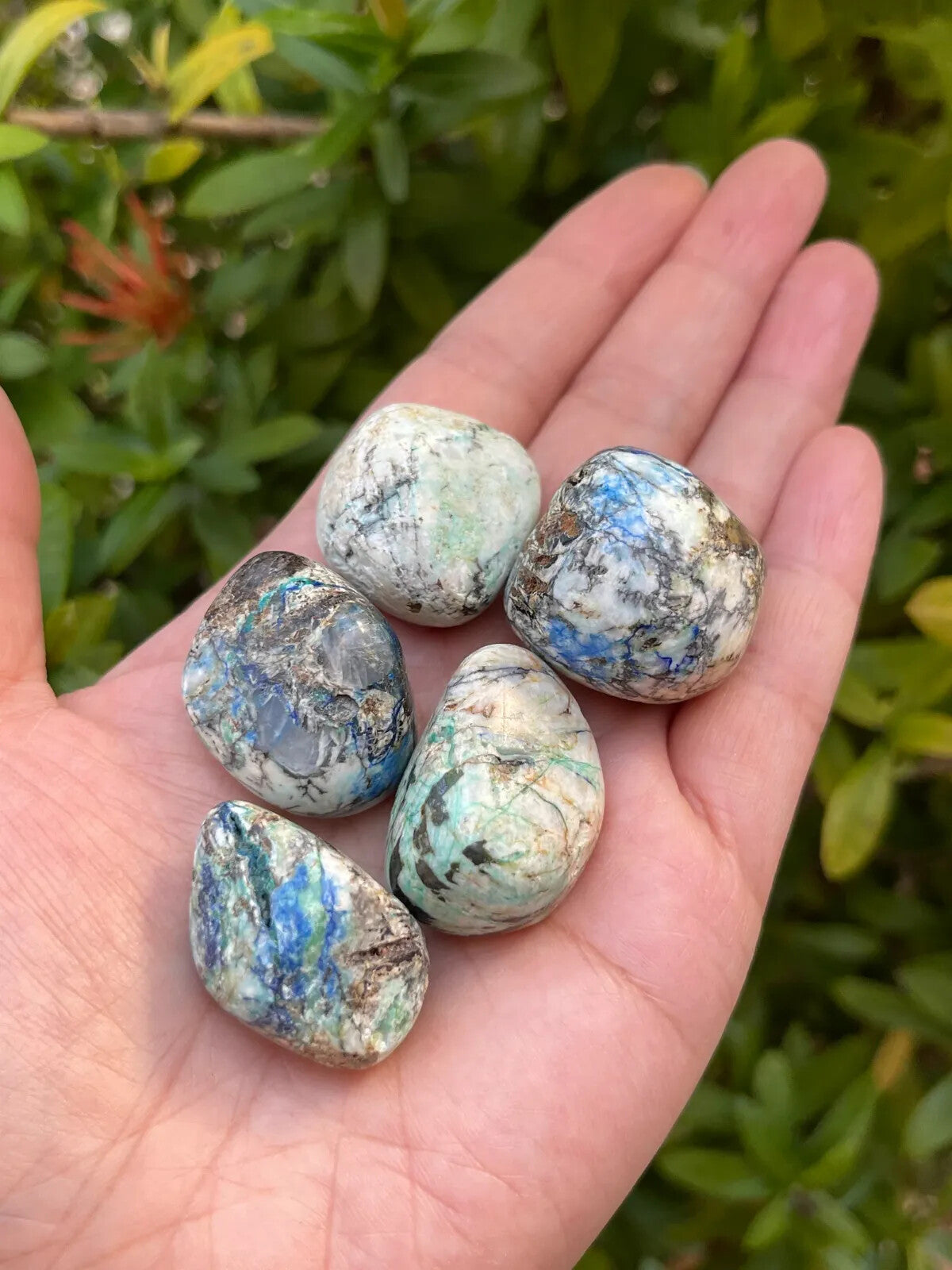 1/2 Lb Lot Tumbled Stones, 0.75-1.25" Crystal Healing Stones, Choose Stone Type