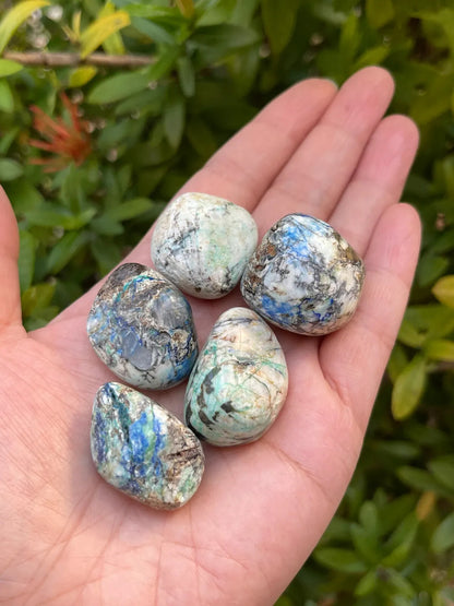 1/2 Lb Lot Tumbled Stones, 0.75-1.25" Crystal Healing Stones, Choose Stone Type