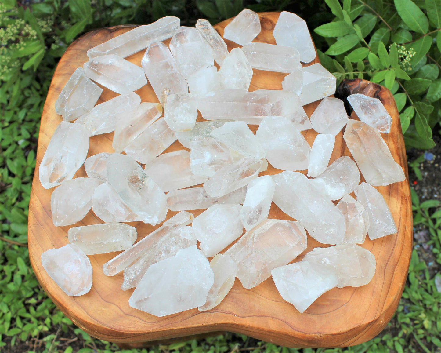 Wholesale CLEARANCE Bulk Lot 1/4 lb (4 oz) Rough Natural Quartz Crystal Points