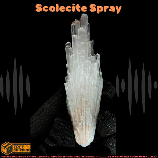 Rare Scolecite Spray Crystal 15g Zeolite Mineral Specimen from India