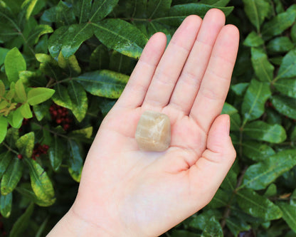 1 x Tumbled Stones : You Choose Type - Huge Range - ON SALE! (Crystal Healing)