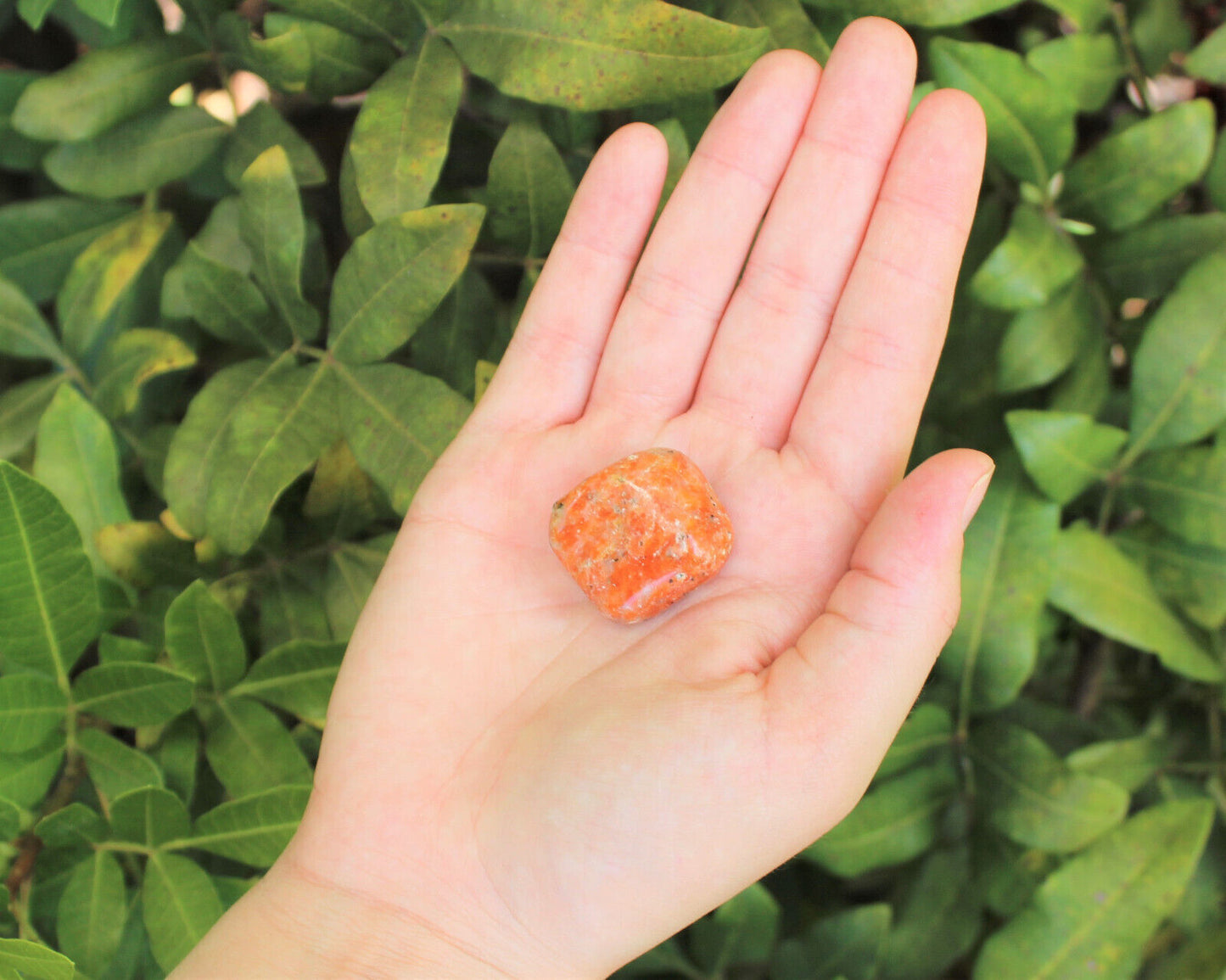 1 x Tumbled Stones : You Choose Type - Huge Range - ON SALE! (Crystal Healing)