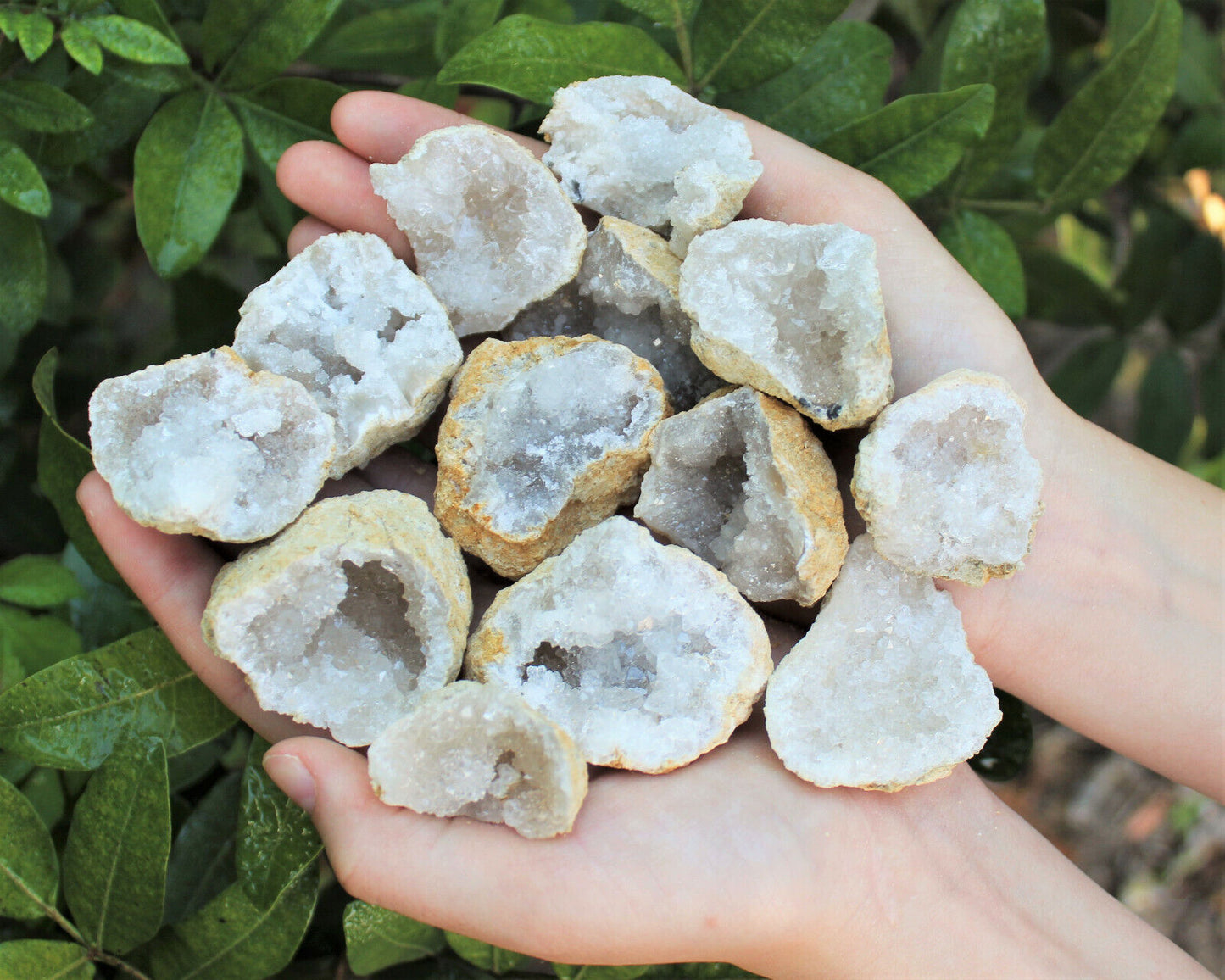 Break Your Own Geodes | Large Unopened Indian Geodes | Bulk Lot by Pound