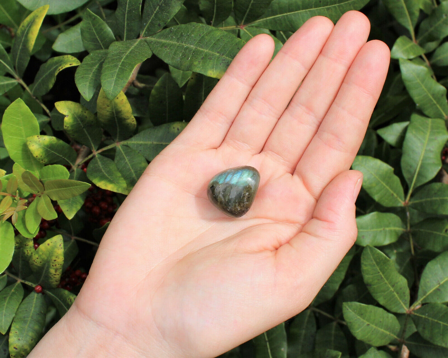 1 x Tumbled Stones : You Choose Type - Huge Range - ON SALE! (Crystal Healing)