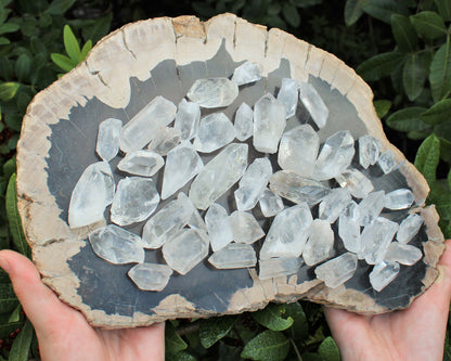 Wholesale Bulk Lot 1 lb Natural Clear Quartz Crystal Points Wand, AAA Quality