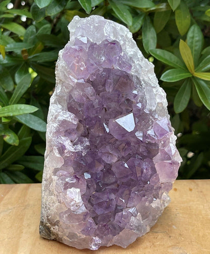Uruguayan Amethyst Cluster, Grade B Amethyst Geode with Cut Base, Pick a Size