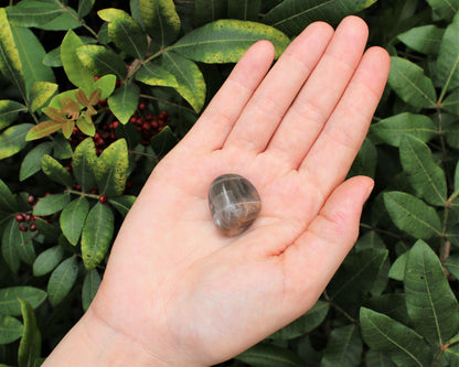 1 x Tumbled Stones : You Choose Type - Huge Range - ON SALE! (Crystal Healing)