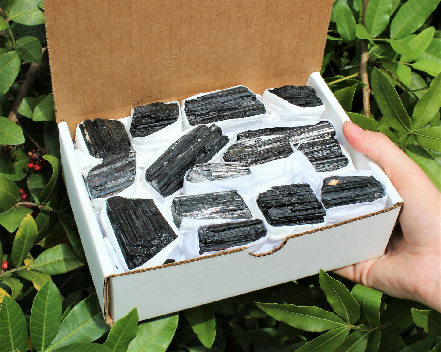🖤 Bulk Extra Grade Shiny Natural Rough Black Tourmaline Rods – Box of 14–18 Pcs