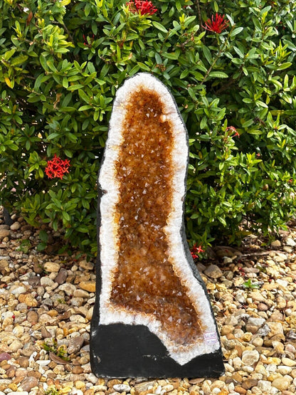 X-Large Citrine Cathedral, Citrine Geode, Honey Citrine Cluster, Pick a Weight
