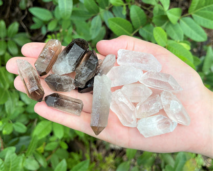 1/2 lb Bulk Smoky Quartz & Clear Quartz Crystal Collection Box (Natural Points)