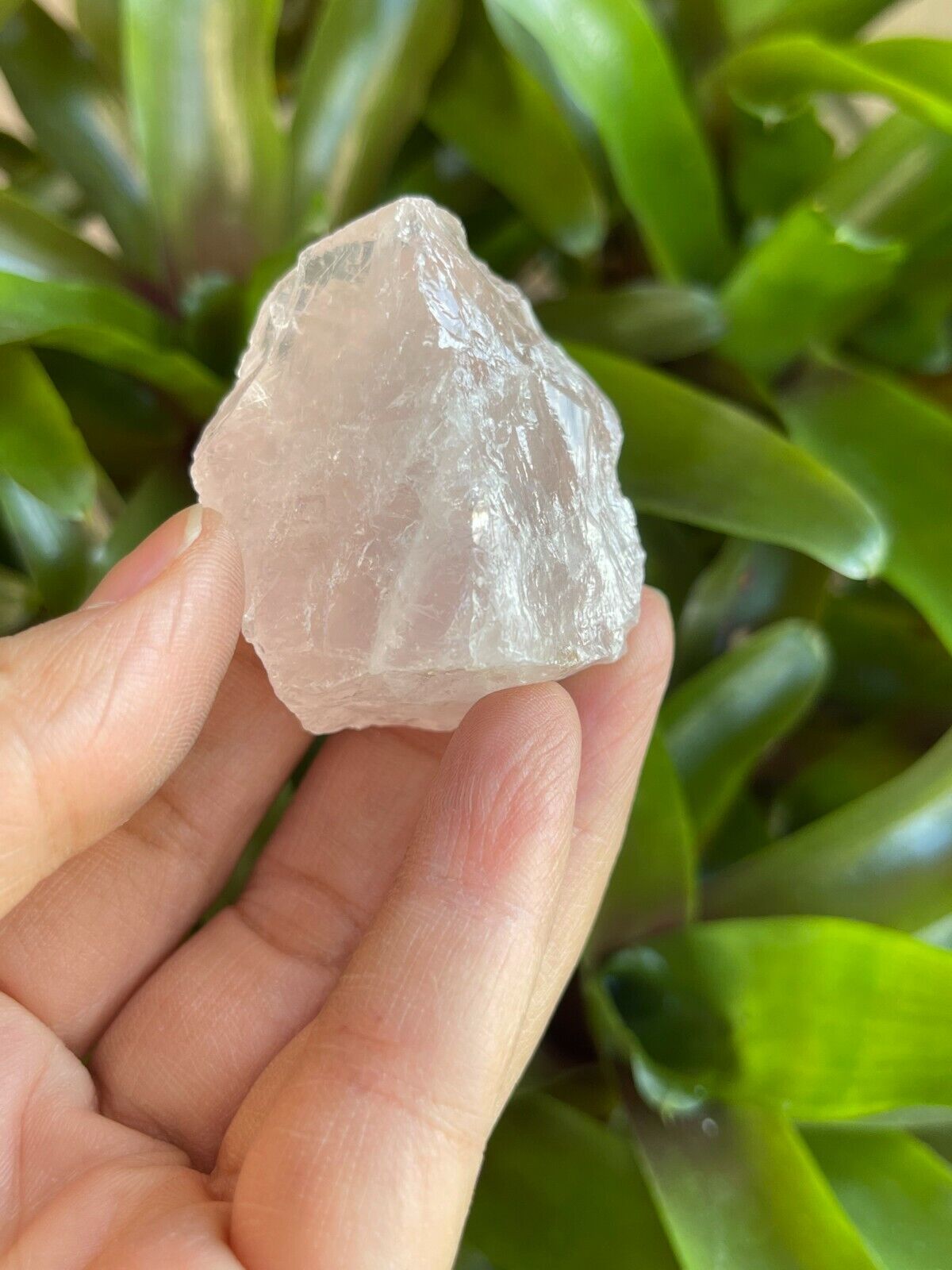 Rose Quartz Rough Natural Stones, 1.25-2" Raw Rose Quartz, Wholesales Bulk Lot