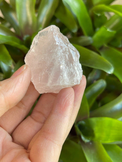 Rose Quartz Rough Natural Stones, 1.25-2" Raw Rose Quartz, Wholesales Bulk Lot